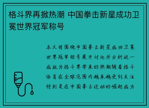 格斗界再掀热潮 中国拳击新星成功卫冕世界冠军称号