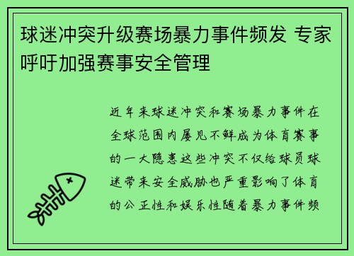 球迷冲突升级赛场暴力事件频发 专家呼吁加强赛事安全管理